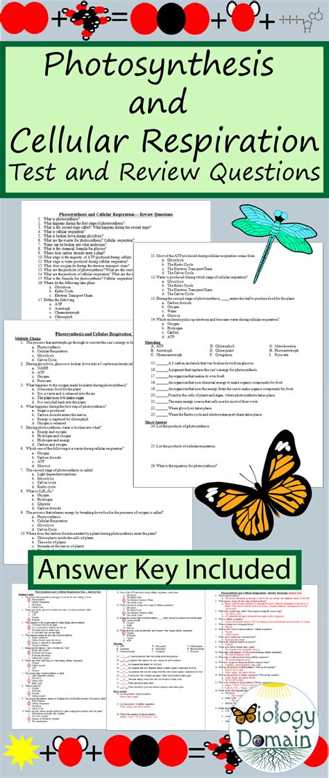 biology 83 the process of photosynthesis answer key Reader
