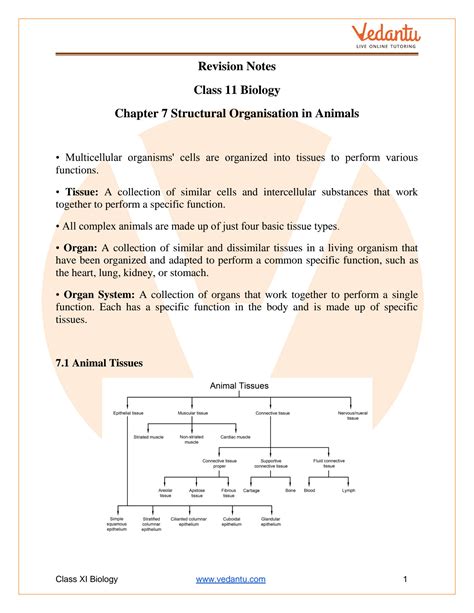 biology chapter 7 packet Epub