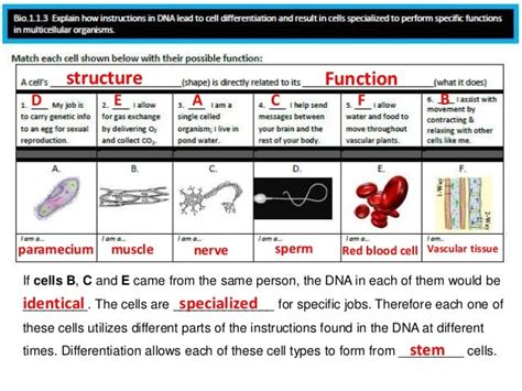 biology eoc review packet answers 2015 Reader