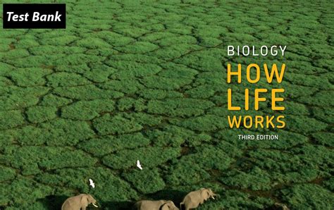 biology how life works test bank Doc