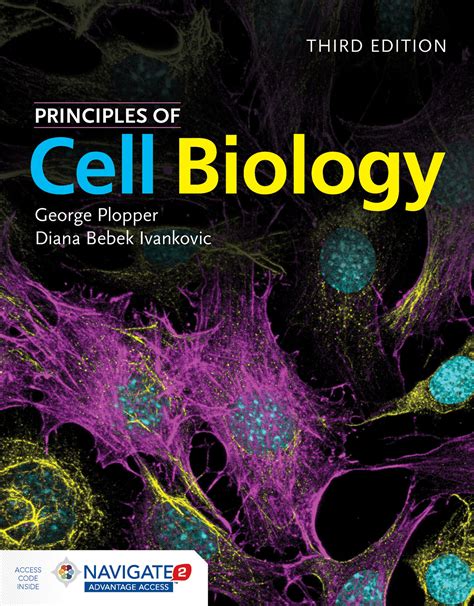 biology in focus 6th edition by hayden mcneil pdf book PDF