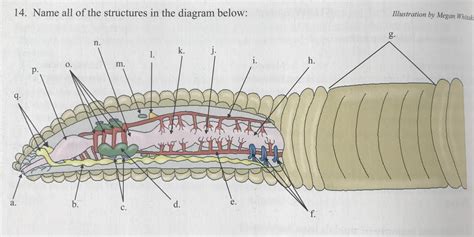 biology module 11 study guide Reader