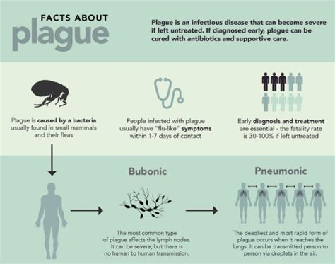 biology of plagues biology of plagues Kindle Editon