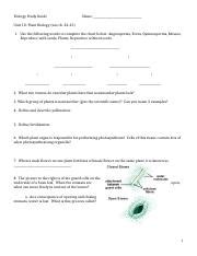 biology plant study guide Doc