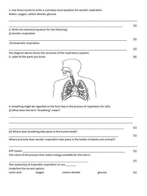 biology test papers ks3 Epub
