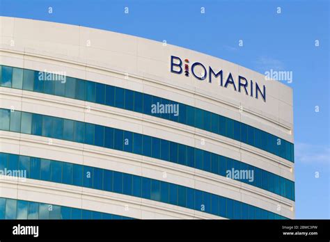 biomarin pharmaceutical inc stock