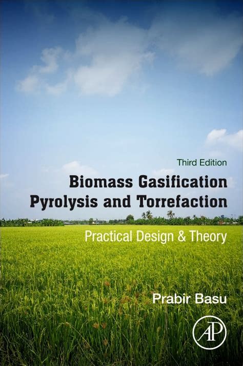 biomass gasification and pyrolysis practical design and theory Reader