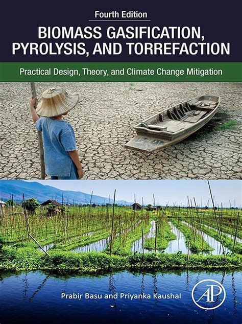 biomass gasification pyrolysis and torrefaction second edition practical design and theory Reader