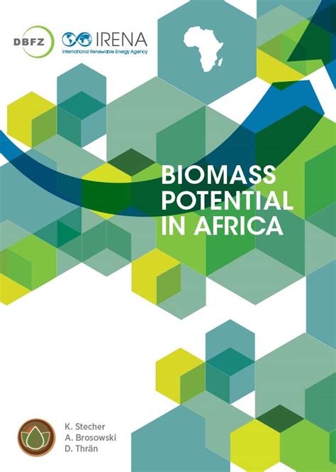 biomass potential in africa irena PDF