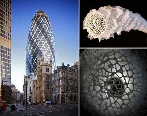 biomimicry in architecture Epub