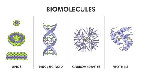 biomolecular forms and functions biomolecular forms and functions Doc