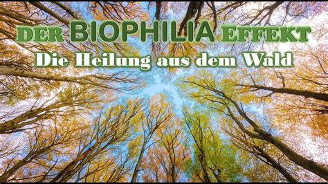 biophilia effekt heilung aus dem wald Reader