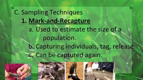 biozone international answers mark and recapture sampling Epub