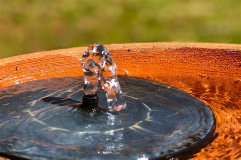 bird bath bubbler