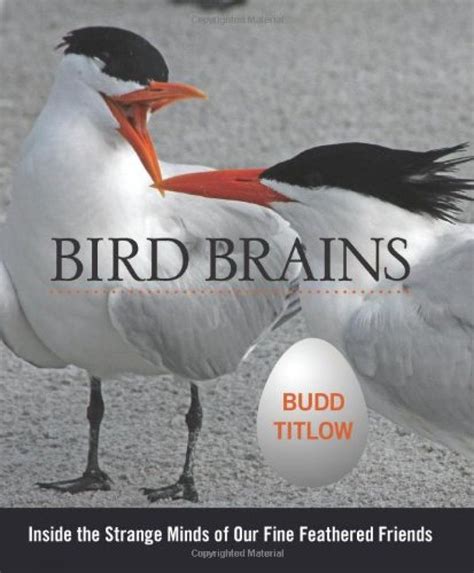 bird brains inside the strange minds of our fine feathered friends Kindle Editon