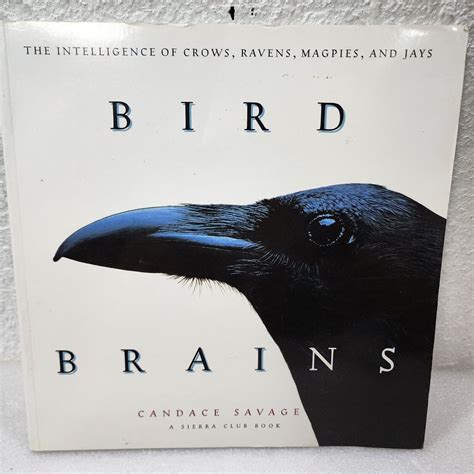 bird brains the intelligence of crows ravens magpies and jays Epub