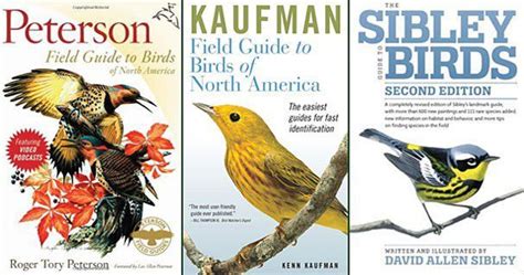 bird field guide book Reader