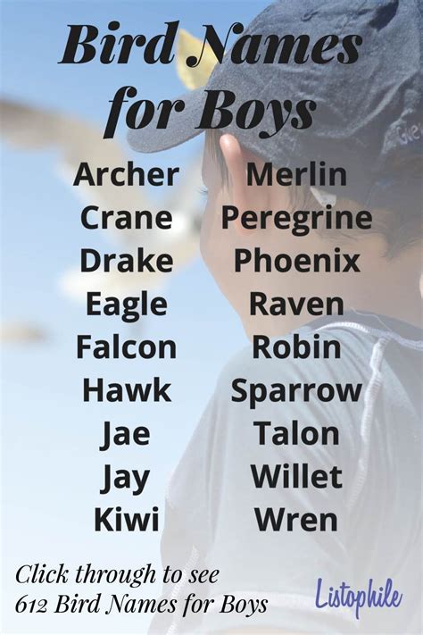 bird names for boys