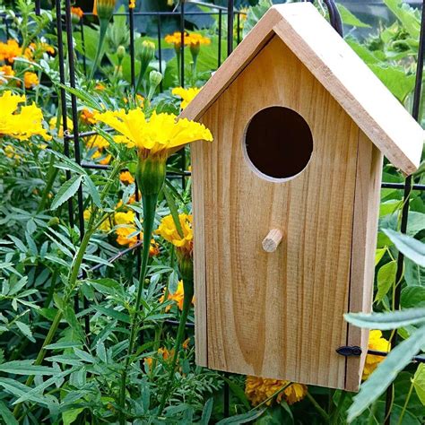 bird nesting boxes