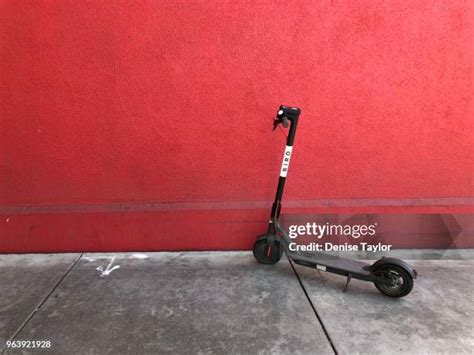 bird scooter stock