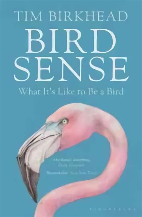 bird sense what its like to be a bird Kindle Editon