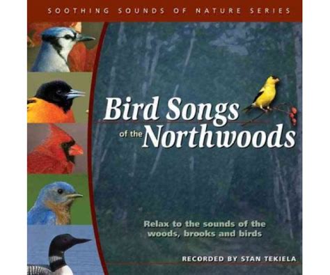 bird songs of the northwoods soothing sounds of nature Reader