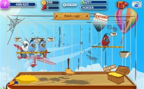 Birdland Camp Walkthrough