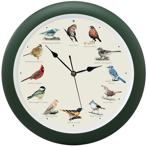 birds clock wall