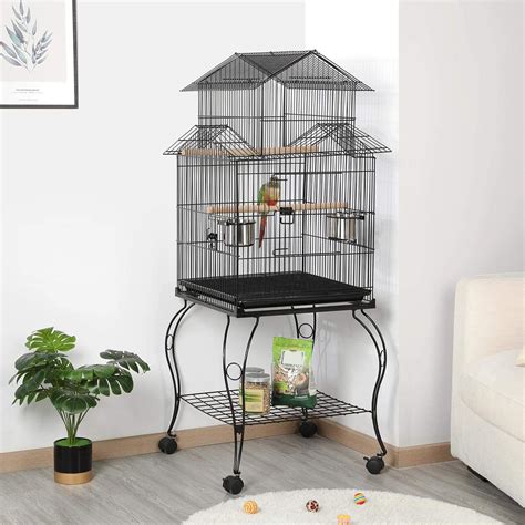 birds for small cages