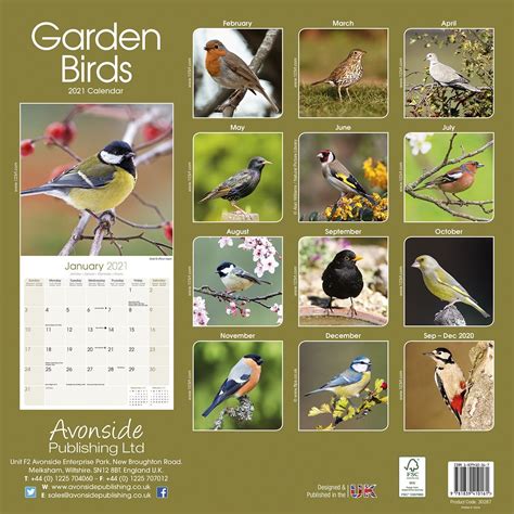 birds in the garden 2009 wall calendar Doc