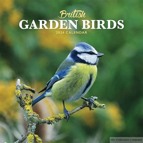 birds in the garden 2014 calendar PDF