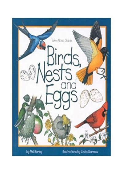 birds nests and eggs take along guides Doc