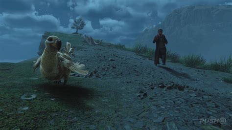 Birds Of A Feather Walkthrough