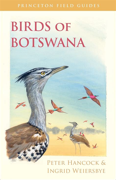 birds of botswana princeton field guides PDF