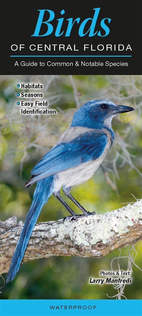 birds of central florida a guide to common and notable species quick reference guides Kindle Editon