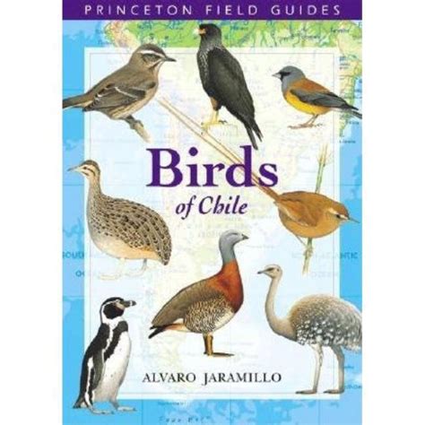 birds of chile princeton field guides Doc