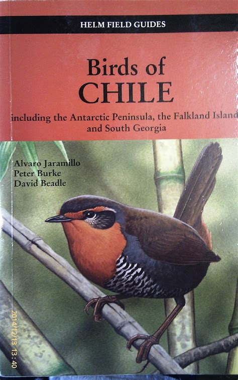 birds of chile princeton field guides Doc