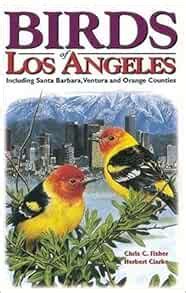 birds of los angeles u s city bird guides Epub