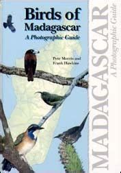 birds of madagascar a photographic guide Doc