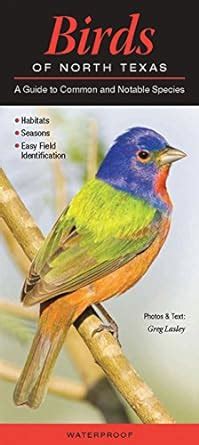 birds of north texas a guide to common and notable species quick reference guides Kindle Editon