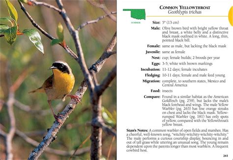 birds of oklahoma field guide Doc