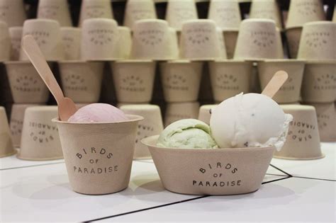 birds of paradise ice cream flavours