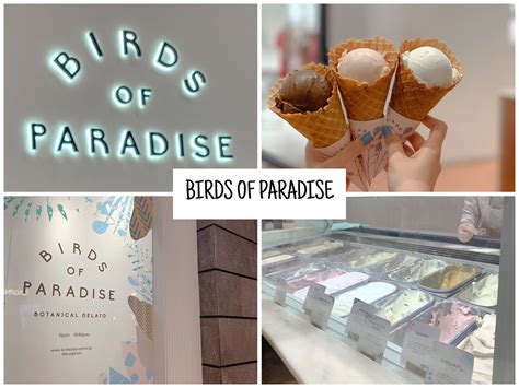 birds of paradise ice cream menu