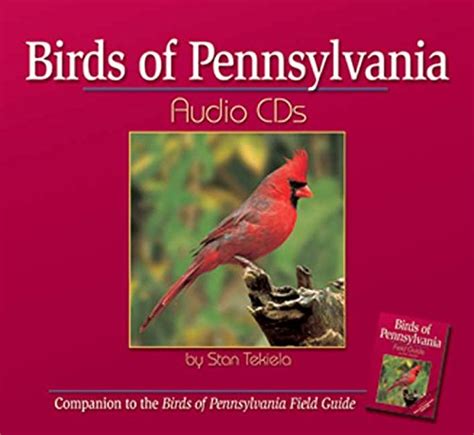 birds of pennsylvania audio cds companion to birds of pennsylvania field guide Kindle Editon