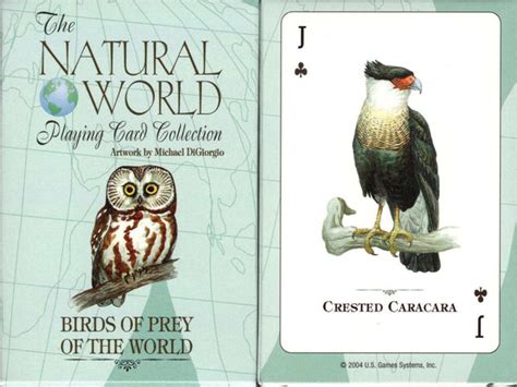 birds of prey of the world natural world playing card collection Epub