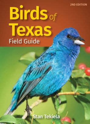 birds of texas field guide Reader