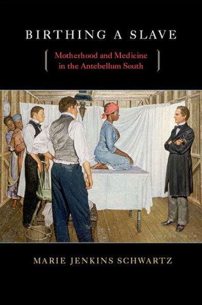 birthing a slave motherhood and medicine in the antebellum south Kindle Editon