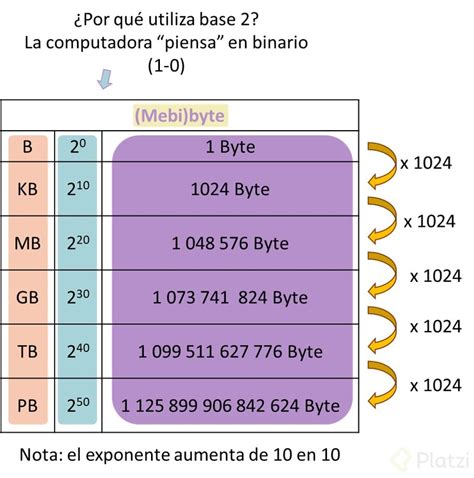 bit a byte