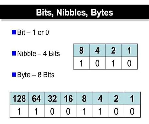 bit byte nibble