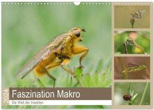 bizarre makro welt wandkalender 2016 quer Epub